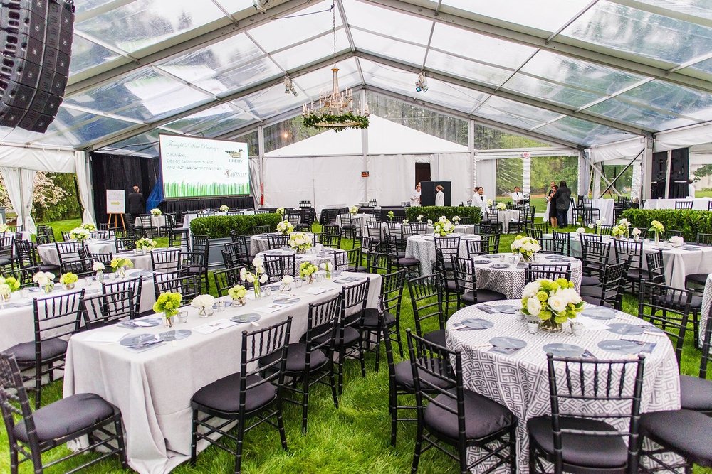 AE Events fundraising event photography 5