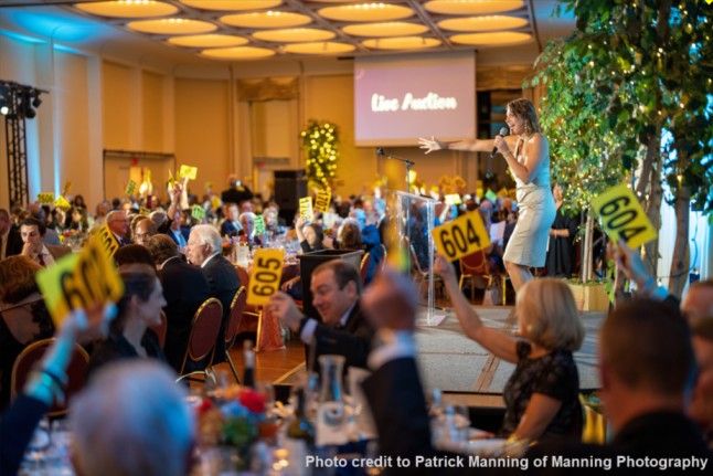 Red Apple Auctions at a fundraising event